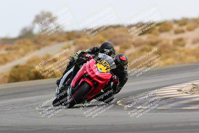 media/Feb-27-2022-CVMA (Sun) [[a3977b6969]]/Race 6 500 Supersport-350 Supersport (Holeshot)/